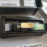 DX4 Golden Printhead of Roland SV LEF2-300 part number 6000005180 - Image 3